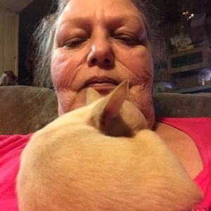 Meet your Posher, Ellen d